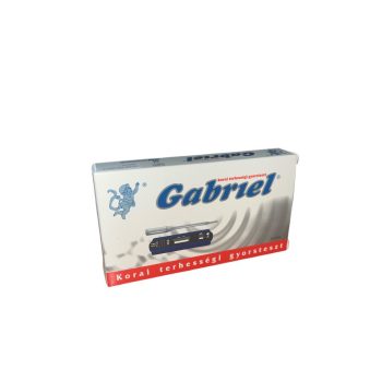 Gabriel Terhességi teszt (Akció)